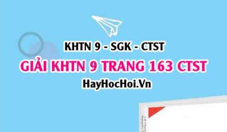 Giải KHTN 9 trang 163 Chân trời sáng tạo SGK